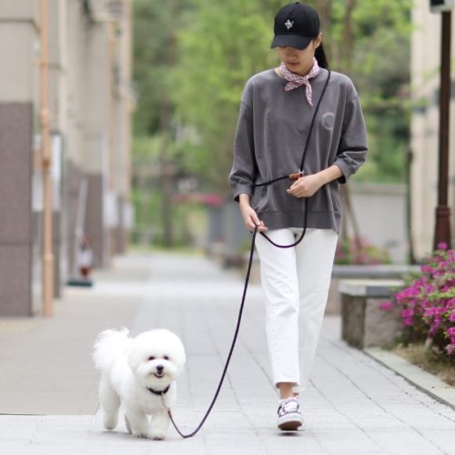 강아지 하네스 종류 6가지 및 사이즈 선택 방법