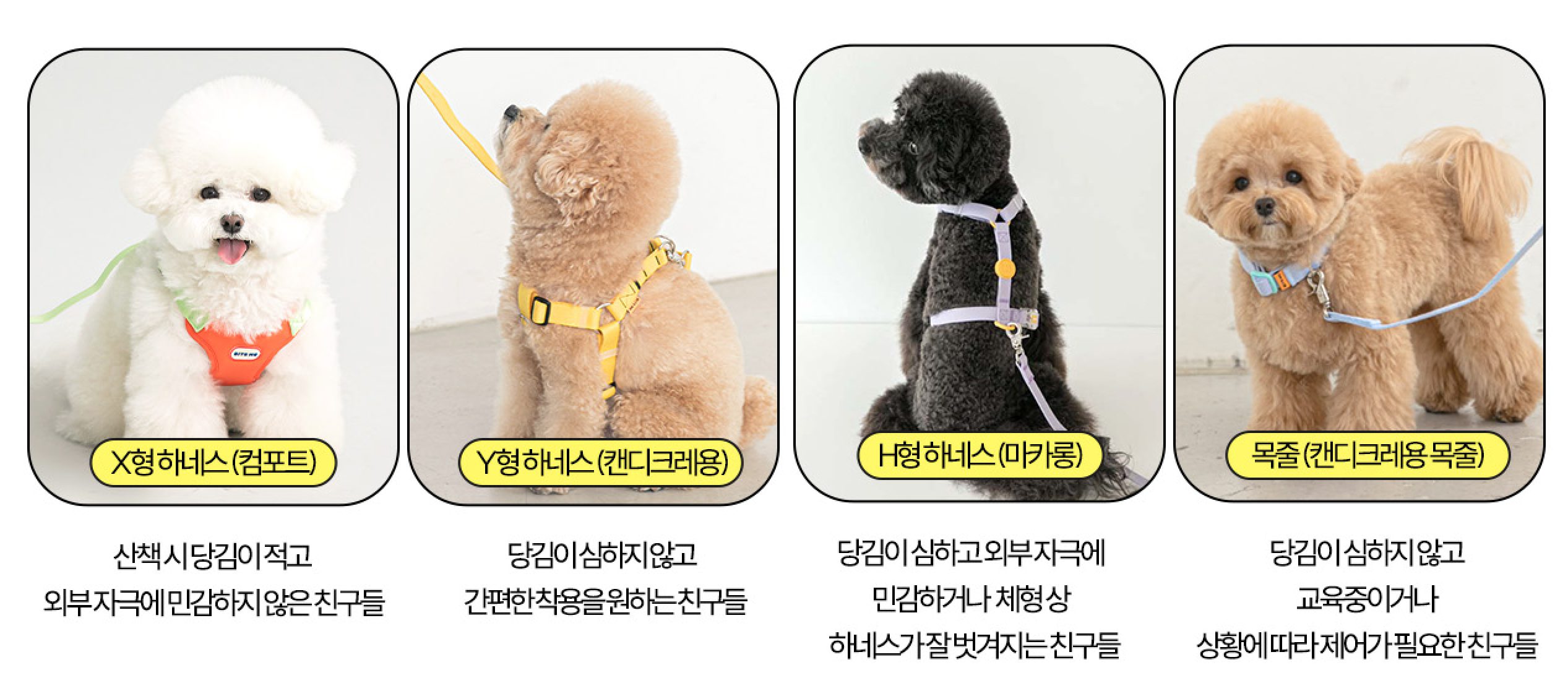 강아지 하네스, 하네스 종류, 하네스 착용법, 하네스 용도, H형 하네스