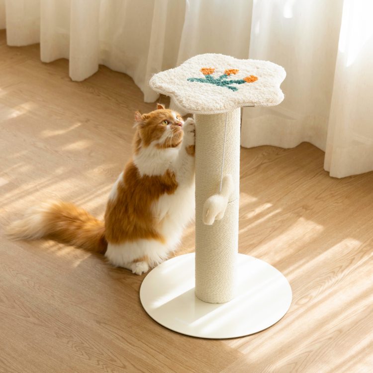 고양이 스크래쳐 이유, 고양이 스크래쳐 추천, 수직 스크래쳐, 원형 스크래쳐