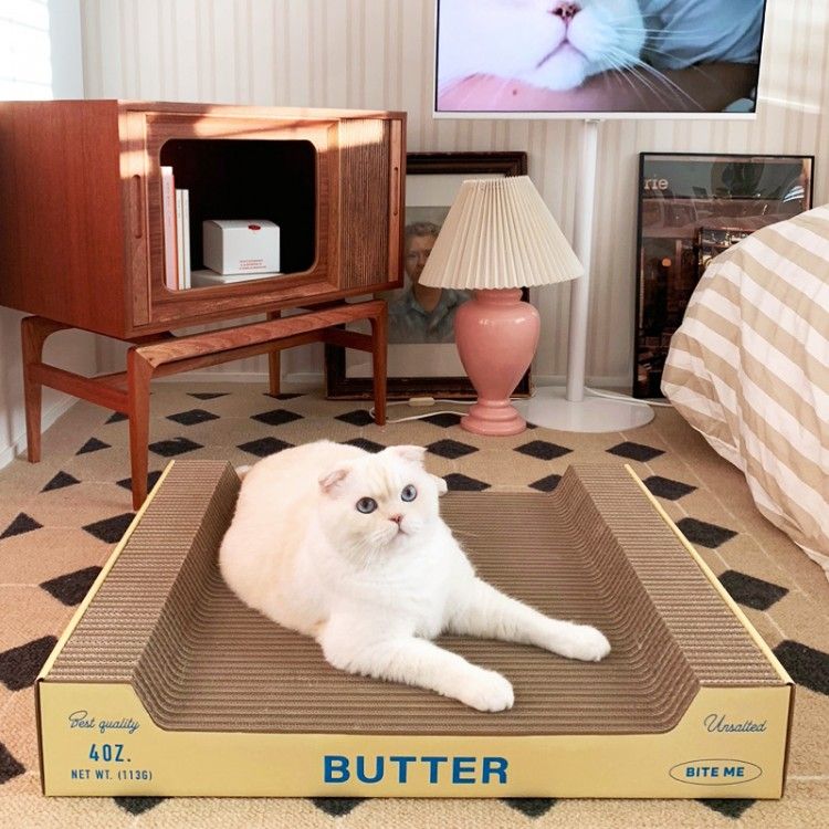 고양이 스크래쳐 이유, 고양이 스크래쳐 추천, 수직 스크래쳐, 원형 스크래쳐