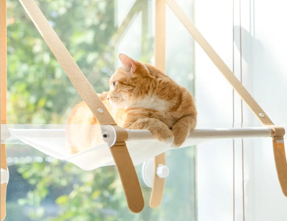 고양이 스크래쳐 이유, 고양이 스크래쳐 추천, 수직 스크래쳐, 원형 스크래쳐