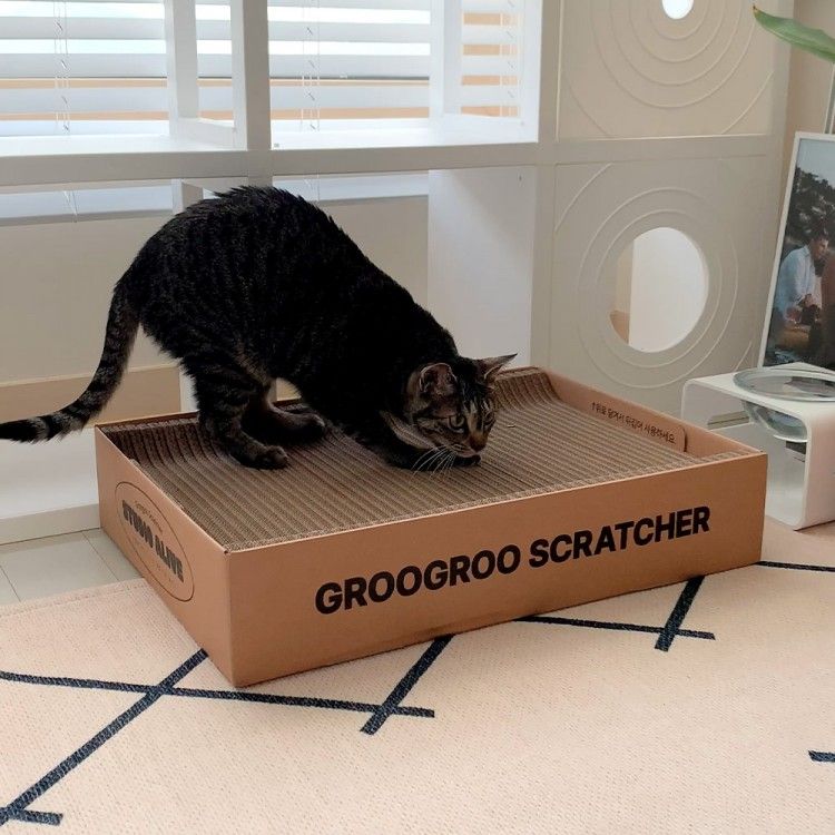 고양이 스크래쳐 이유, 고양이 스크래쳐 추천, 수직 스크래쳐, 원형 스크래쳐