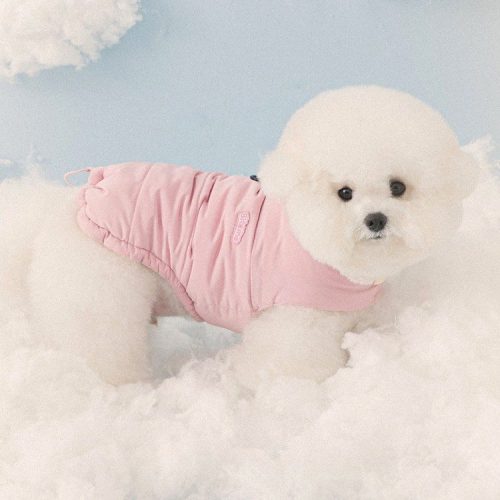 추운 겨울을 따뜻하게! 강아지 겨울옷 필요성과 겨울 추천템 Best 4