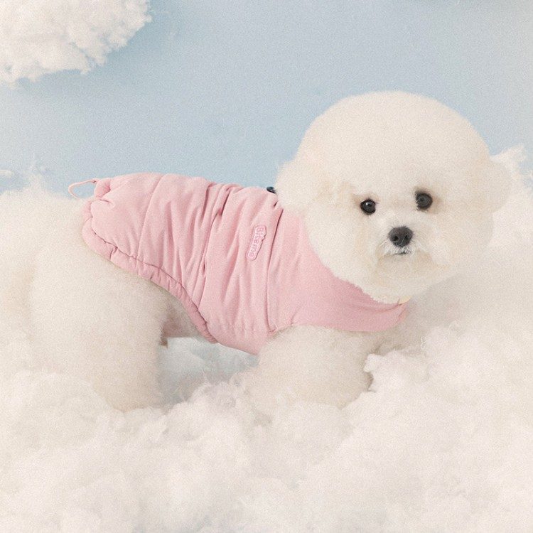 추운 겨울을 따뜻하게! 강아지 겨울옷 필요성과 겨울 추천템 Best 4