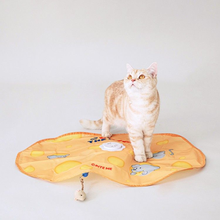 유기묘 입양, 길고양이 입양, 고양이 용품, 길냥이, 고양이 간택