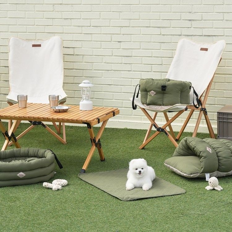 애견동반 여행, 반려동물 동반, 애견동반 식당, 애견동반 카페, 펫팸족