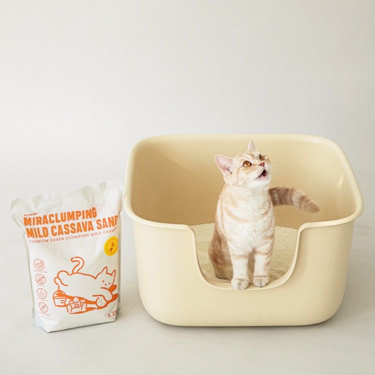 유기묘 입양, 길고양이 입양, 고양이 용품, 길냥이, 고양이 간택