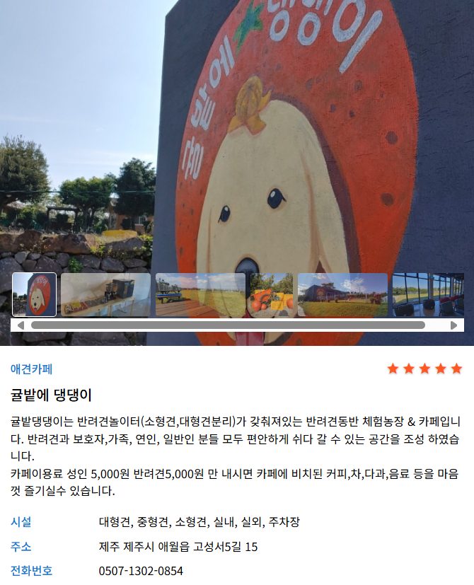 애견동반 여행, 반려동물 동반, 애견동반 식당, 애견동반 카페, 펫팸족