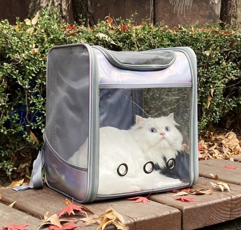 고양이 케이지, 고양이 집, 고양이 합사, 고양이 이동장, 고양이 격리