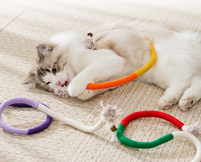 고양이 케이지, 고양이 집, 고양이 합사, 고양이 이동장, 고양이 격리