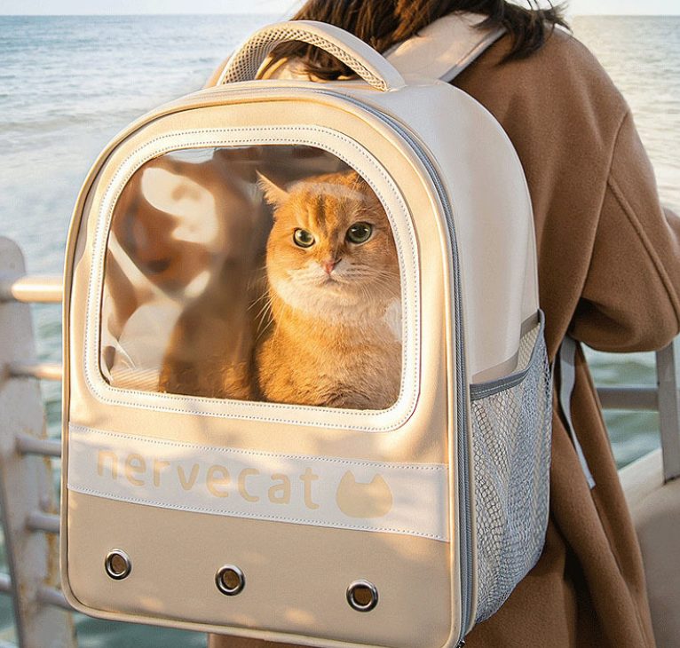 고양이 케이지, 고양이 집, 고양이 합사, 고양이 이동장, 고양이 격리