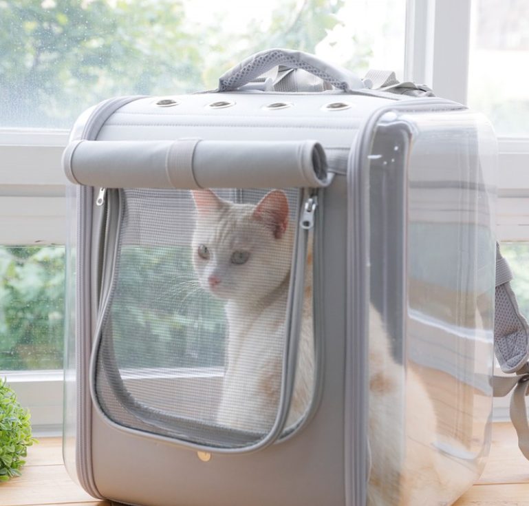 고양이 집이 필요한 순간! 고양이 케이지 선택 시 주의사항 3가지