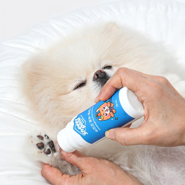 강아지 발 핥는 이유, 강아지 발사탕, 강아지 발바닥 습진, 강아지 보습제, 강아지 신발