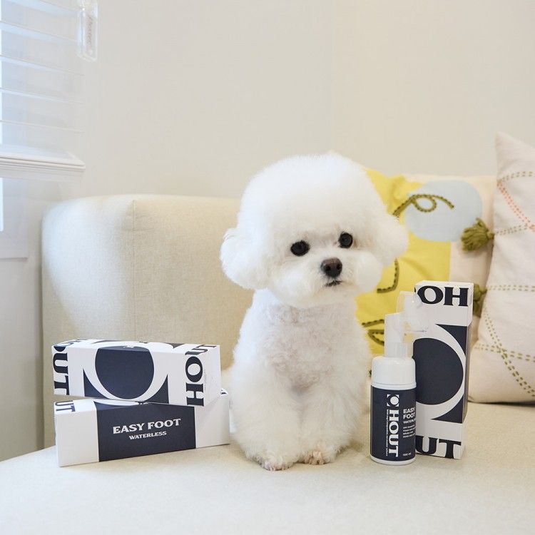 강아지 발 핥는 이유, 강아지 발사탕, 강아지 발바닥 습진, 강아지 보습제, 강아지 신발