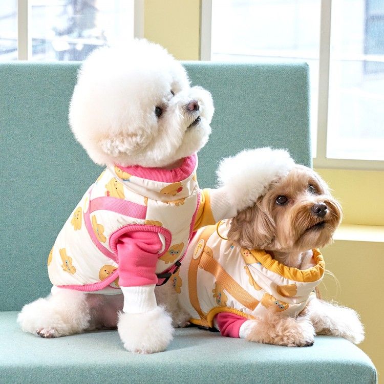 강아지 성격, 강아지 종류, 견종백과, 키우기 쉬운 강아지, 말티즈성격