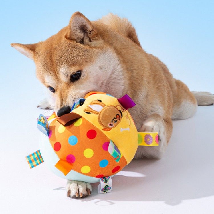 강아지 성격, 강아지 종류, 견종백과, 키우기 쉬운 강아지, 말티즈성격