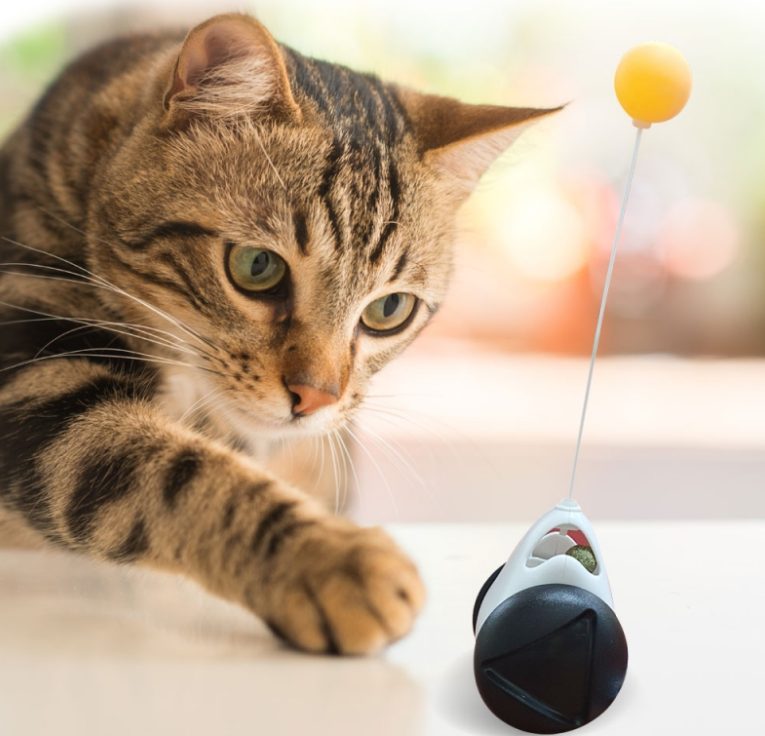 고양이 장난감, 뚱냥이, 고양이 낚시대, 고양이 터널, 고양이 운동