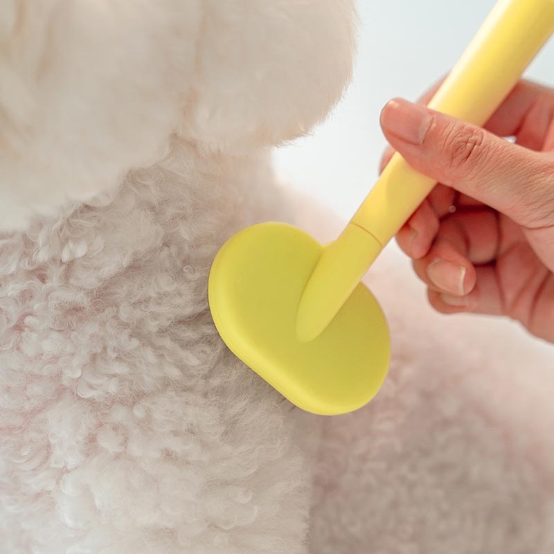 강아지 목욕 주기, 강아지 드라이룸, 강아지 샴푸, 강아지 빗