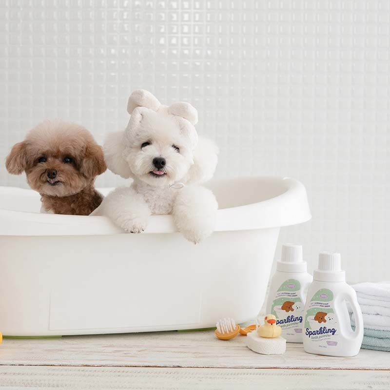 강아지 목욕 주기, 강아지 드라이룸, 강아지 샴푸, 강아지 빗