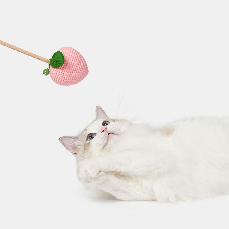 냥냥펀치, 고양이 행동, 고양이 이동장, 고양이 언어