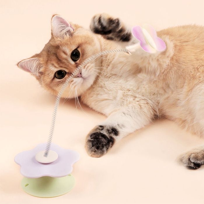 냥냥펀치, 고양이 행동, 고양이 이동장, 고양이 언어