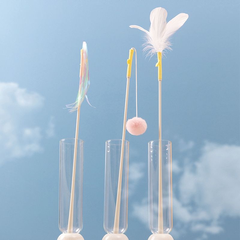 냥냥펀치, 고양이 행동, 고양이 이동장, 고양이 언어