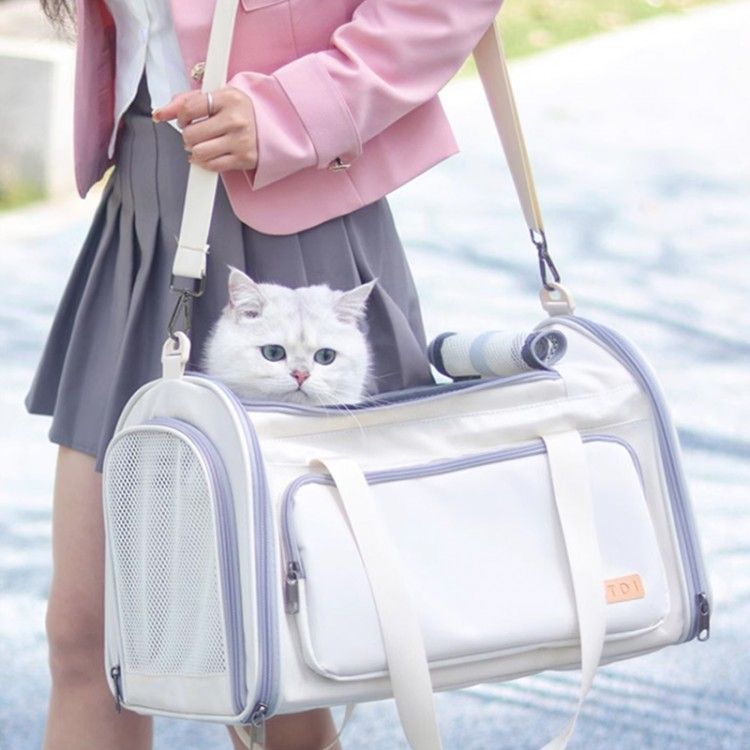 냥냥펀치, 고양이 행동, 고양이 이동장, 고양이 언어