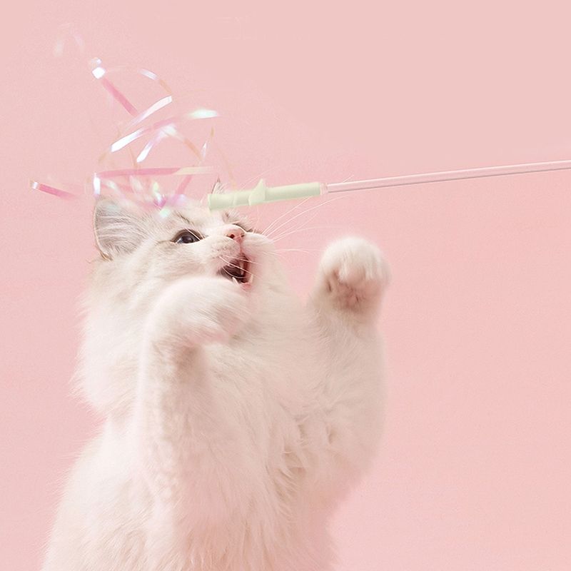 2025 고양이 행동 분석 : 냥냥펀치, 이거 왜 이럴까?