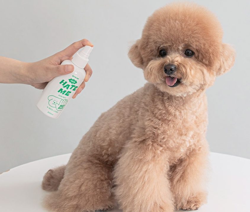 강아지 심장사상충, 강아지 예방접종, 강아지 모기, 강아지 진드기, 넥스가드 스펙트라