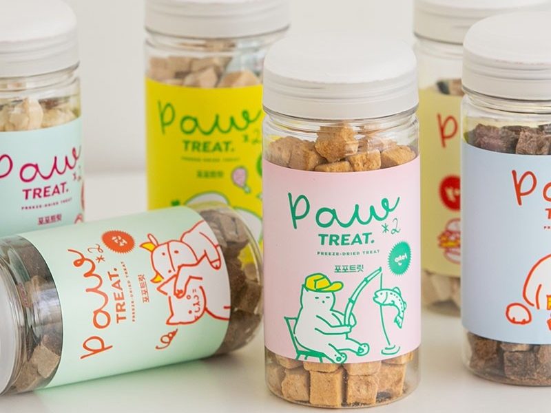 강아지 훈련 순서, 강아지 훈련 종류, 강아지 교육, 새끼 강아지