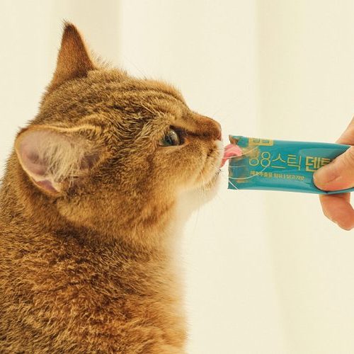 고양이 츄르 맛&성분 고르는 법부터 BEST 3 츄르 추천까지!