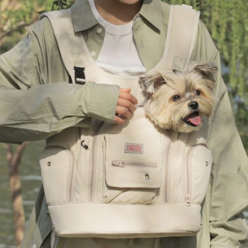 펫보험 비교 TIP: 반려동물 보험이 보상하지 않는 손해 4가지