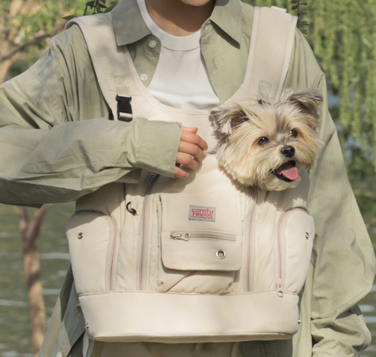 펫보험 비교 TIP: 반려동물 보험이 보상하지 않는 손해 4가지