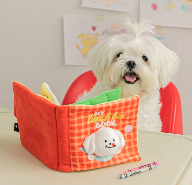 펫보험 비교, 강아지 보험, 반려동물 보험, 동물병원 진료비