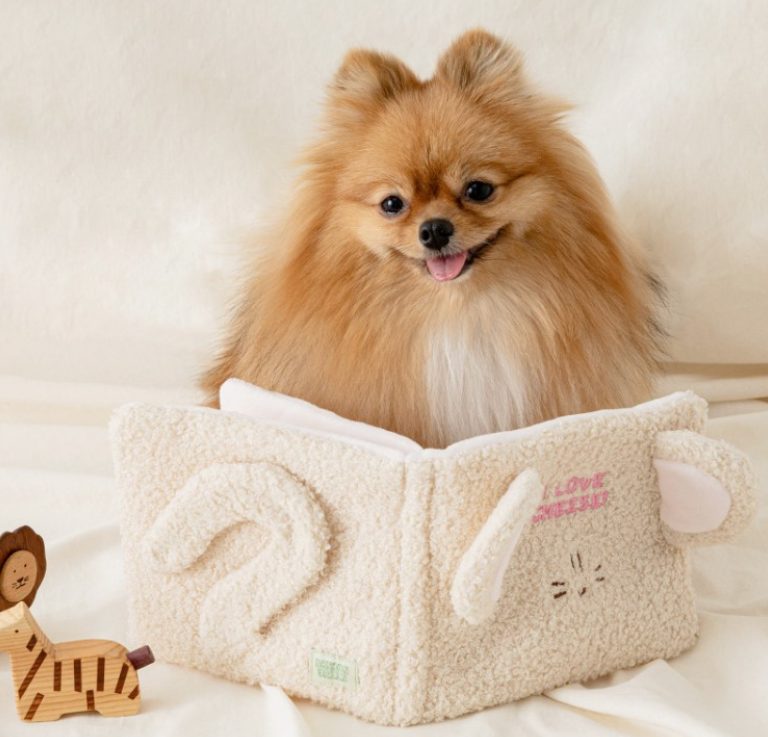 펫보험 비교, 강아지 보험, 반려동물 보험, 동물병원 진료비