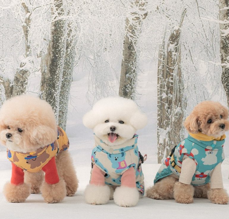 펫보험 비교, 강아지 보험, 반려동물 보험, 동물병원 진료비