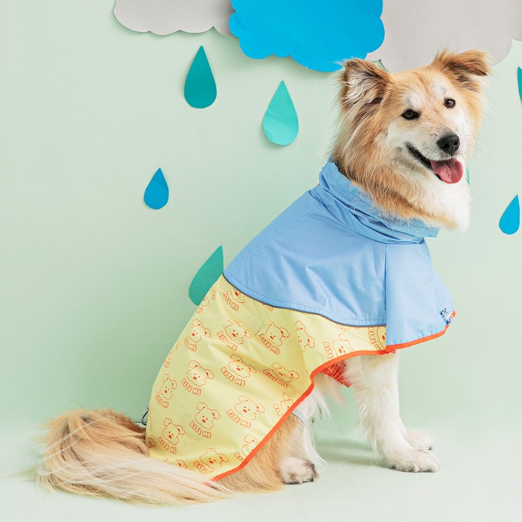 강아지 우비, 강아지 우산, 강아지 비옷, 비오는 날 강아지 산책