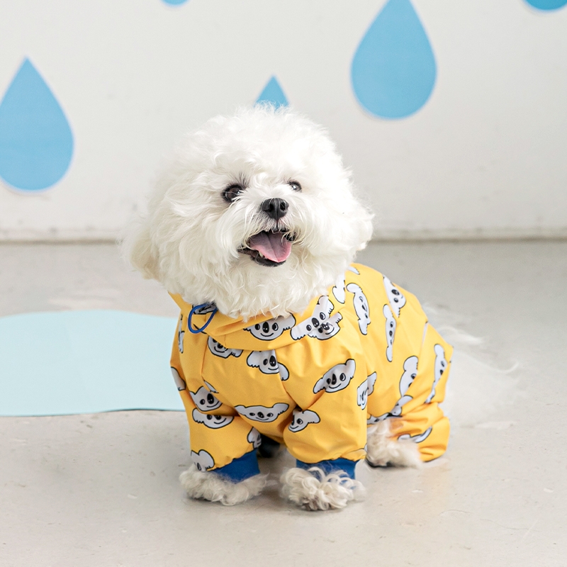 강아지 우비, 강아지 우산, 강아지 비옷, 비오는 날 강아지 산책