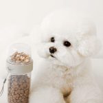 강아지 사료 급여량, 강아지 사료량 종이컵, 강아지 급여량, 강아지 몸무게