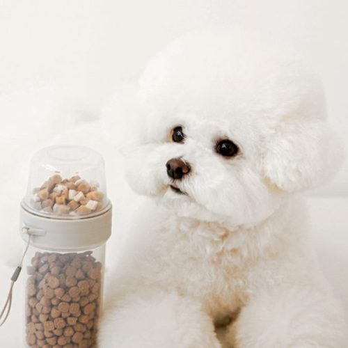 강아지 사료 급여량 계산하기: RER, DER & 사료 종이컵 급여 총정리!