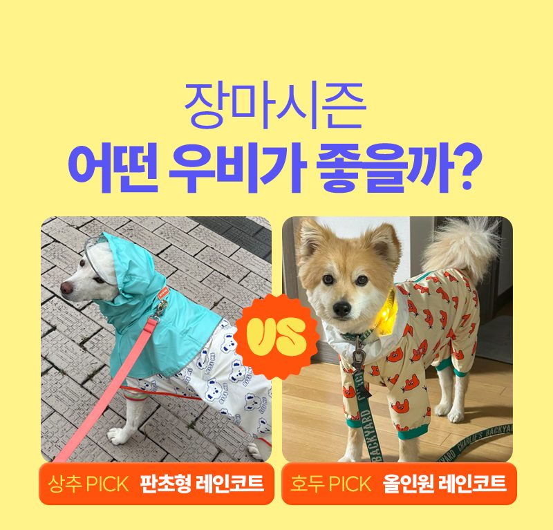 강아지 우비, 강아지 우산, 강아지 비옷, 비오는 날 강아지 산책