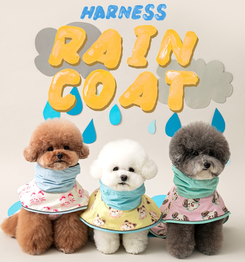 강아지 우비, 강아지 우산, 강아지 비옷, 비오는 날 강아지 산책