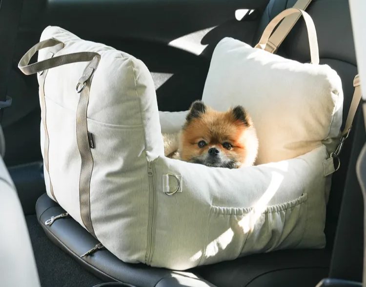 유기견 봉사, 유기견 후원, 강아지 임시 보호, 유기견 보호센터