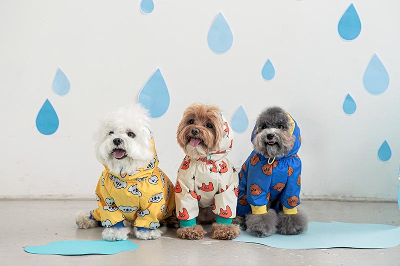 강아지 우비 추천! 비오는 날 산책 준비 5초컷 가능한 우비 특징은?