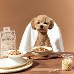 강아지가 먹어도 되는 음식, 강아지가 먹어도 되는 과일, 강아지한테 좋은 음식, 강아지가 먹으면 안되는 음식