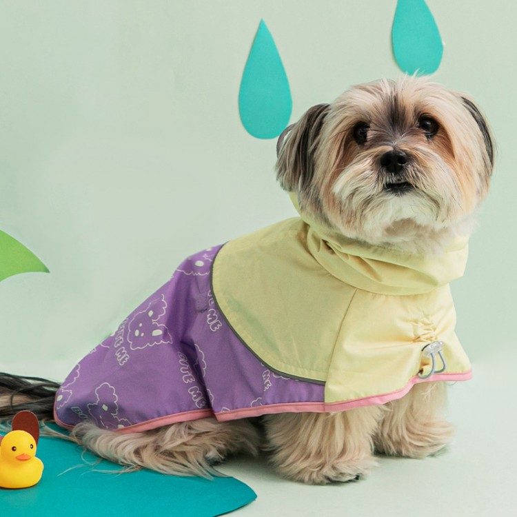 강아지 우비, 강아지 우산, 강아지 비옷, 비오는 날 강아지 산책