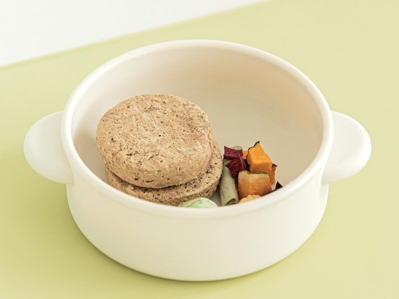 강아지 밥그릇 높이, 강아지 식기, 강아지 밥그릇 추천, 대형견 밥그릇