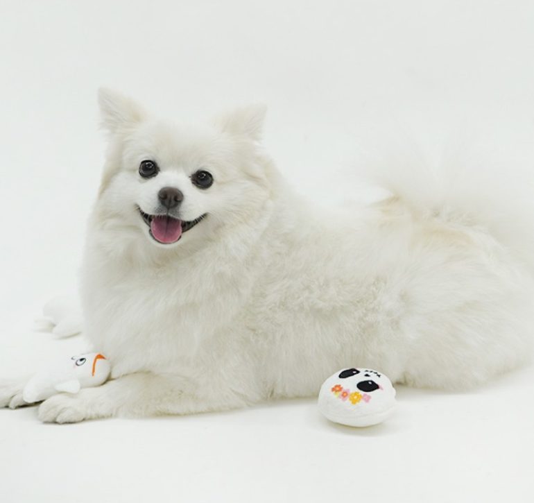 강아지 사료 급여량, 강아지 사료량 종이컵, 강아지 급여량, 강아지 몸무게