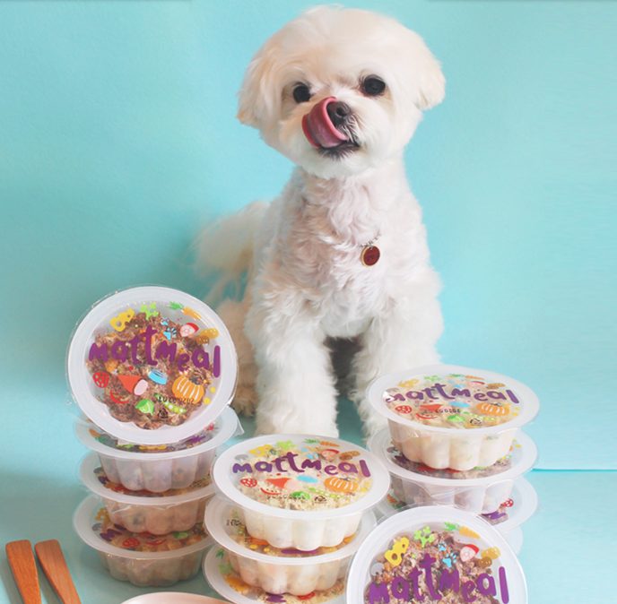 강아지 사료 급여량, 강아지 사료량 종이컵, 강아지 급여량, 강아지 몸무게