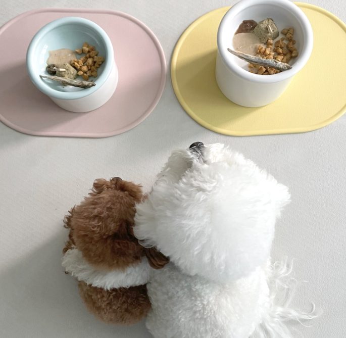 강아지 사료 급여량, 강아지 사료량 종이컵, 강아지 급여량, 강아지 몸무게